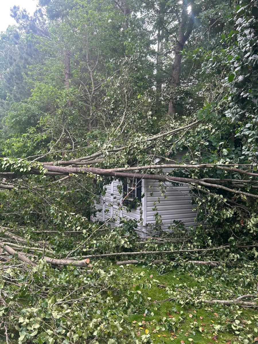 Storm-damaged limbs over an outbuilding at a Bon Air property, May 2025