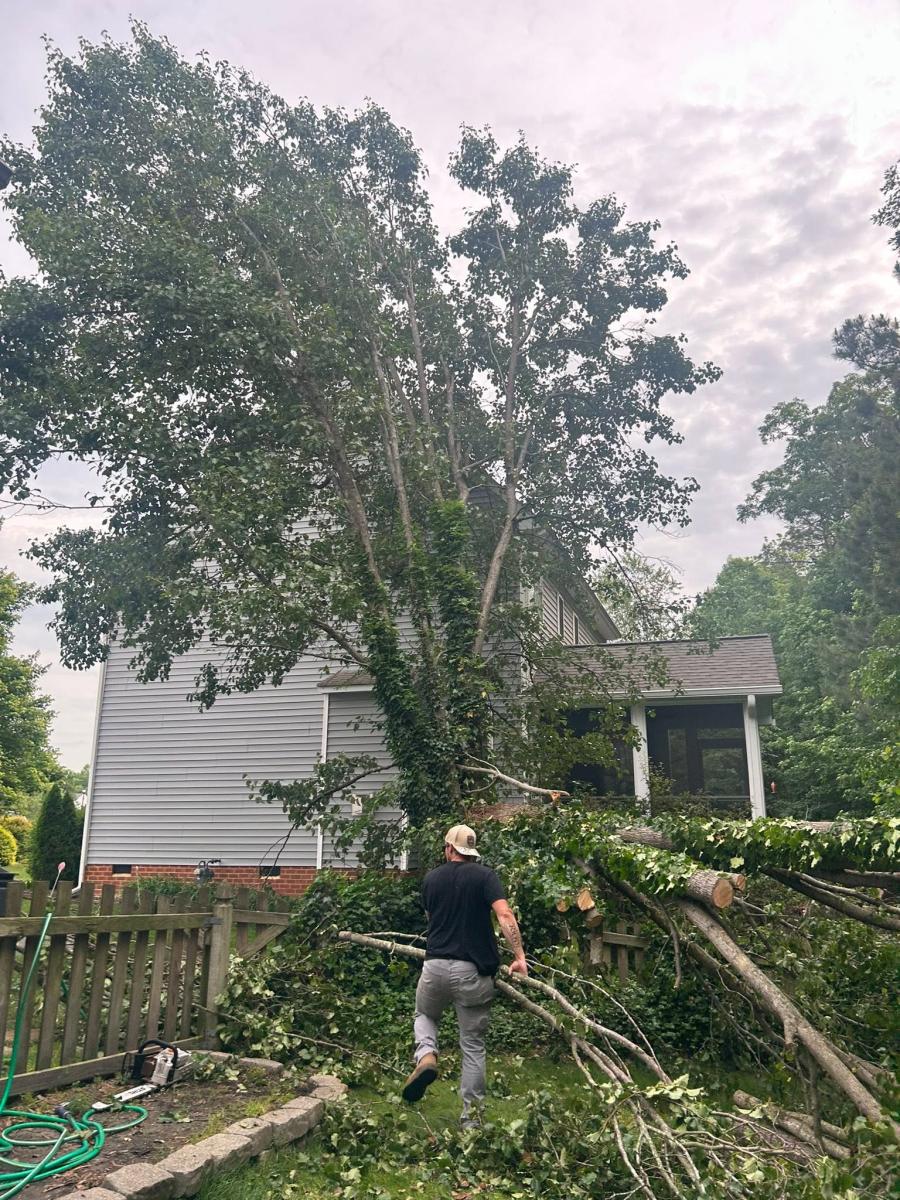 Cambium crew working among cut storm-damaged limbs beside a Bon Air home, May 2025