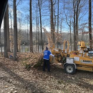 Wood chipper processing storm debris during tree cleanup in Richmond, Virginia