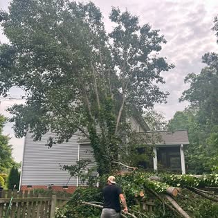 Tree crew clearing storm-damaged limbs beside a Richmond, Virginia home