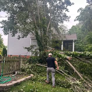 Arborist assessing storm-damaged pear tree limbs at a Richmond, Virginia residence