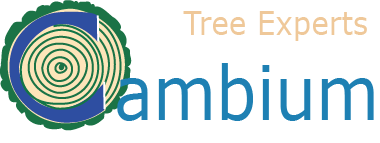 Cambium Tree Service logo
