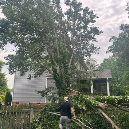 Cambium crew handling storm-damaged branches beside a Bon Air home, May 2025