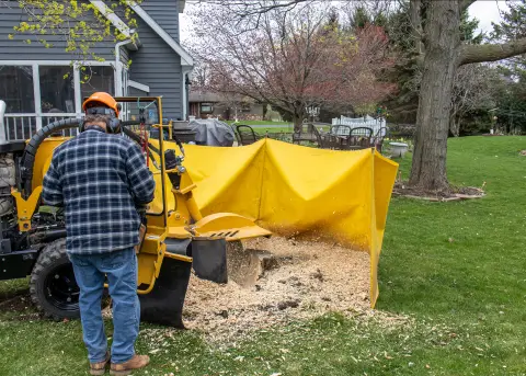 Stump Grinding in Richmond VA