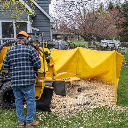Stump grinding service in action