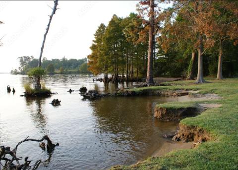 lake shore in Deltaville