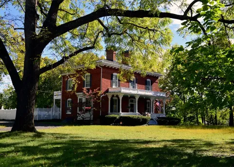 Richmond Trees at Home