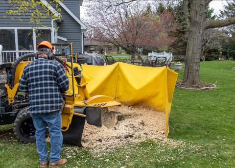 Stump Grinding in Richmond VA